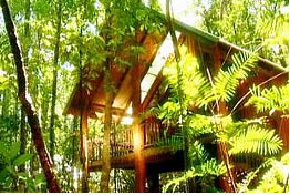 The Canopy Treehouses - Accommodation Sunshine Coast